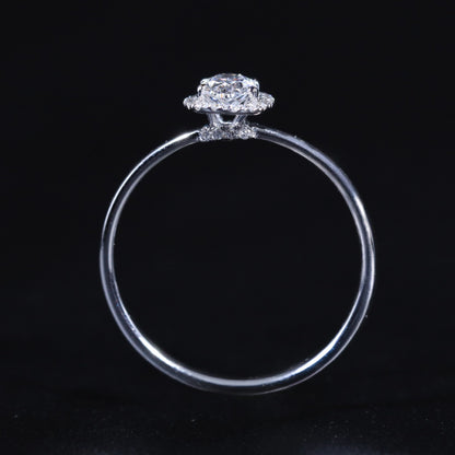 Oval Halo Engagement Rings