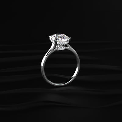 Oval Solitaire Double Hidden Halo Cathedral Ring | Earthly Jewels