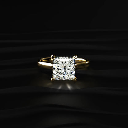 Princess Solitaire Double Hidden Halo Cathedral Ring