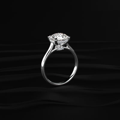 Round Solitaire Double Hidden Halo Cathedral  Ring | Earthly Jewels