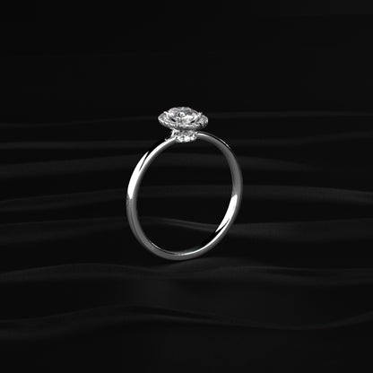 Oval Halo Engagement Rings
