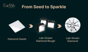 From Seed to Sparkle: The Journey of a Lab Grown Diamonds in India